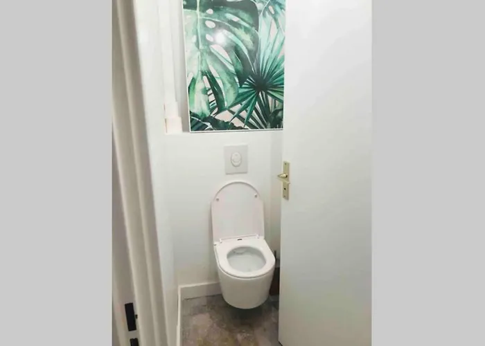 Nid Douillet - Bel Avec Garage Grenoble